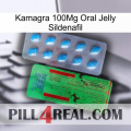 Kamagra 100Mg Oral Jelly Sildenafil new03